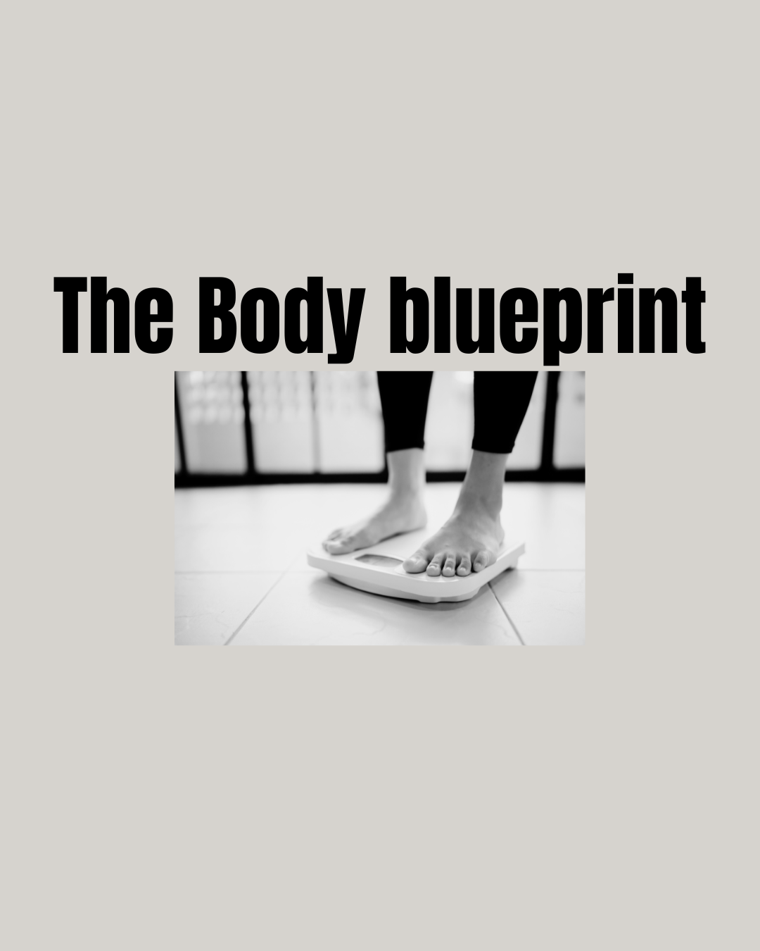 Ectomorph Meal Plan Guide